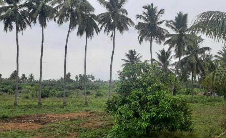 farmland for sale in coimbatore