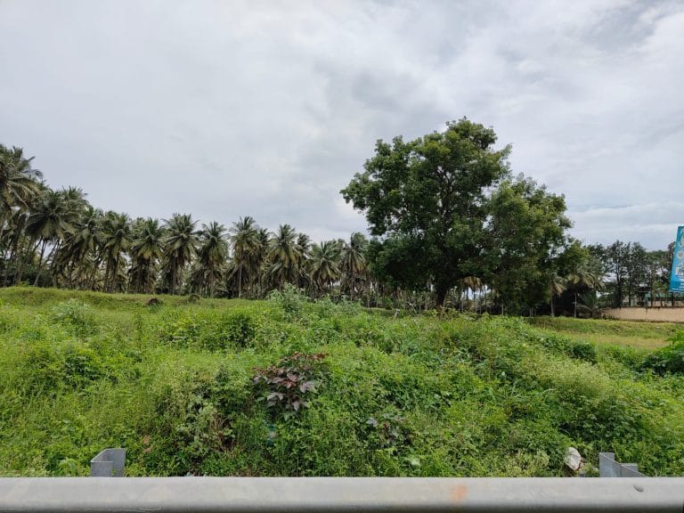 34 acres sale navakarai