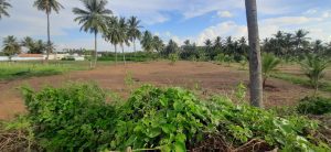 Residential Plot for sale in Kottaipalayam