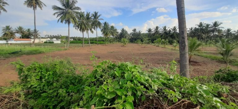 Residential Plot for sale in Kottaipalayam