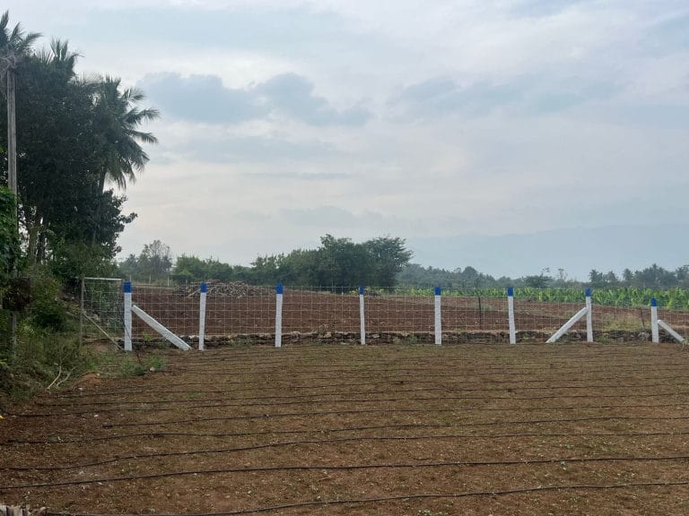 farmland for sale in annur 1