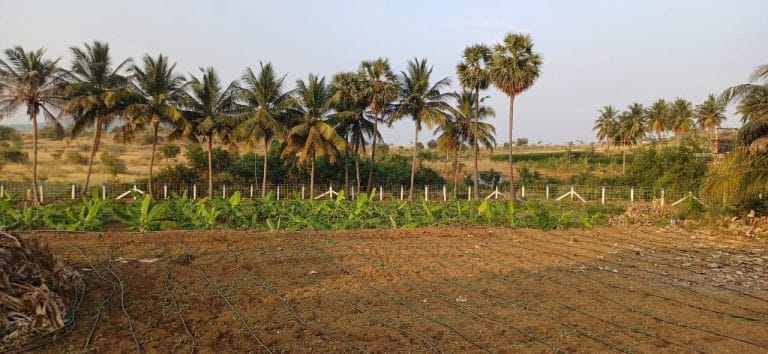 farmland for sale in annur 2