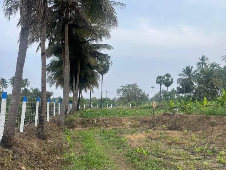 farmland for sale in annur 3