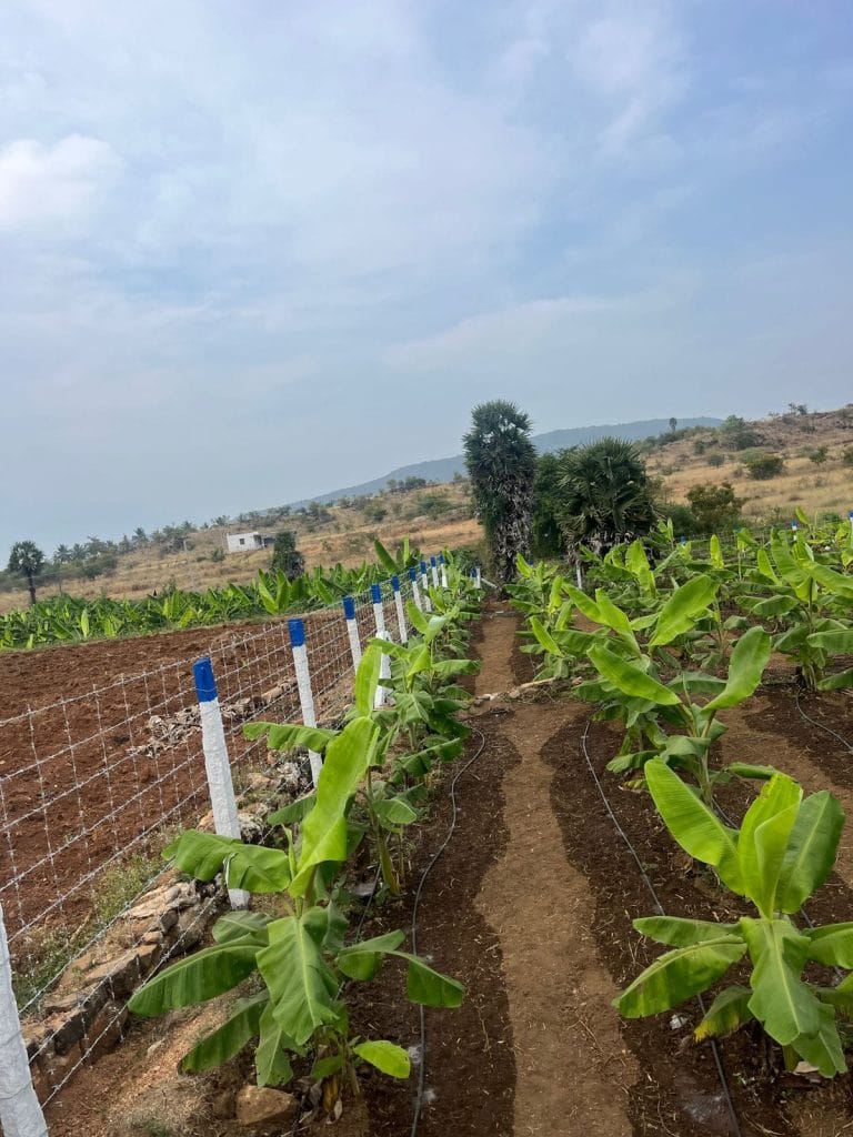 farmland for sale in annur 4