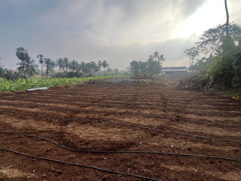 farmland for sale in annur 5