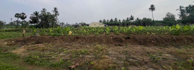 farmland for sale in annur